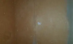 En vägg av masonit där man börjat måla. En vertikal linje syns i mitten, och lite vitt pulver på ytan.
