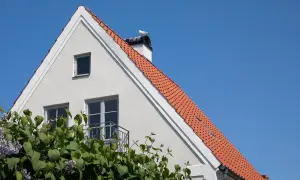 Vitt hus med tegeltak och en mås på skorstenen. En balkong syns, och syrenbuskar blommar framför. Huset ser ut att behöva laga puts.