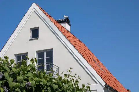 Vitt hus med tegeltak och en mås på skorstenen. En balkong syns, och syrenbuskar blommar framför. Huset ser ut att behöva laga puts.