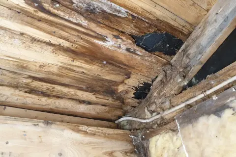 Skadade gamla takstolar med mögel och fuktfläckar. Träet är ruttet och isoleringen syns.
