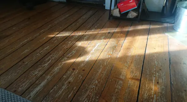 Solstrålar lyser upp ett slitet trägolv som väntar på att få slipa fernissat golv.
