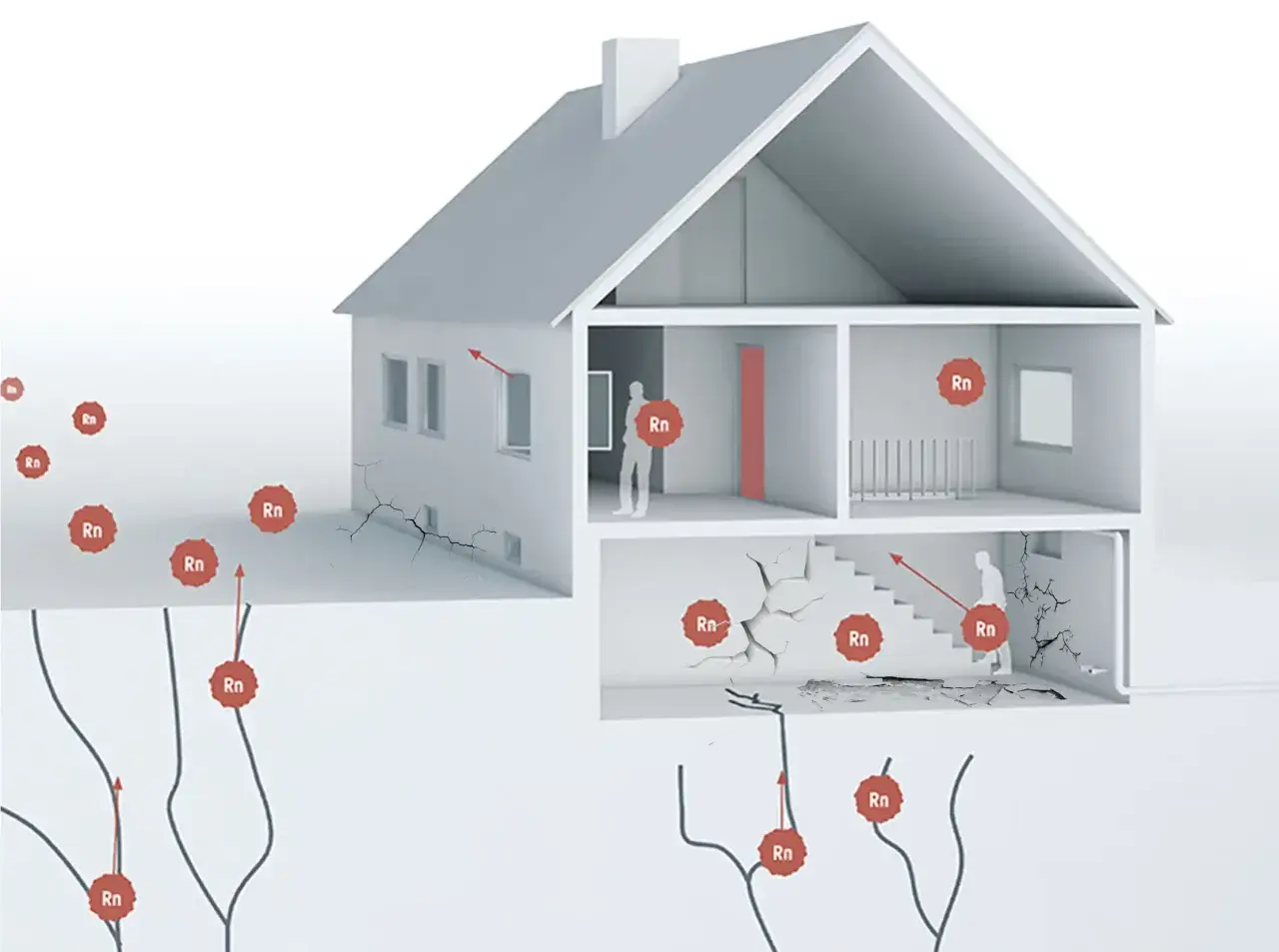 Radon kan tränga in i hus genom sprickor i grunden. Bilden visar hur radonpartiklar (Rn) sprids i marken och in i husets olika våningar, vilket illustrerar vilka hus som kan ha radon.