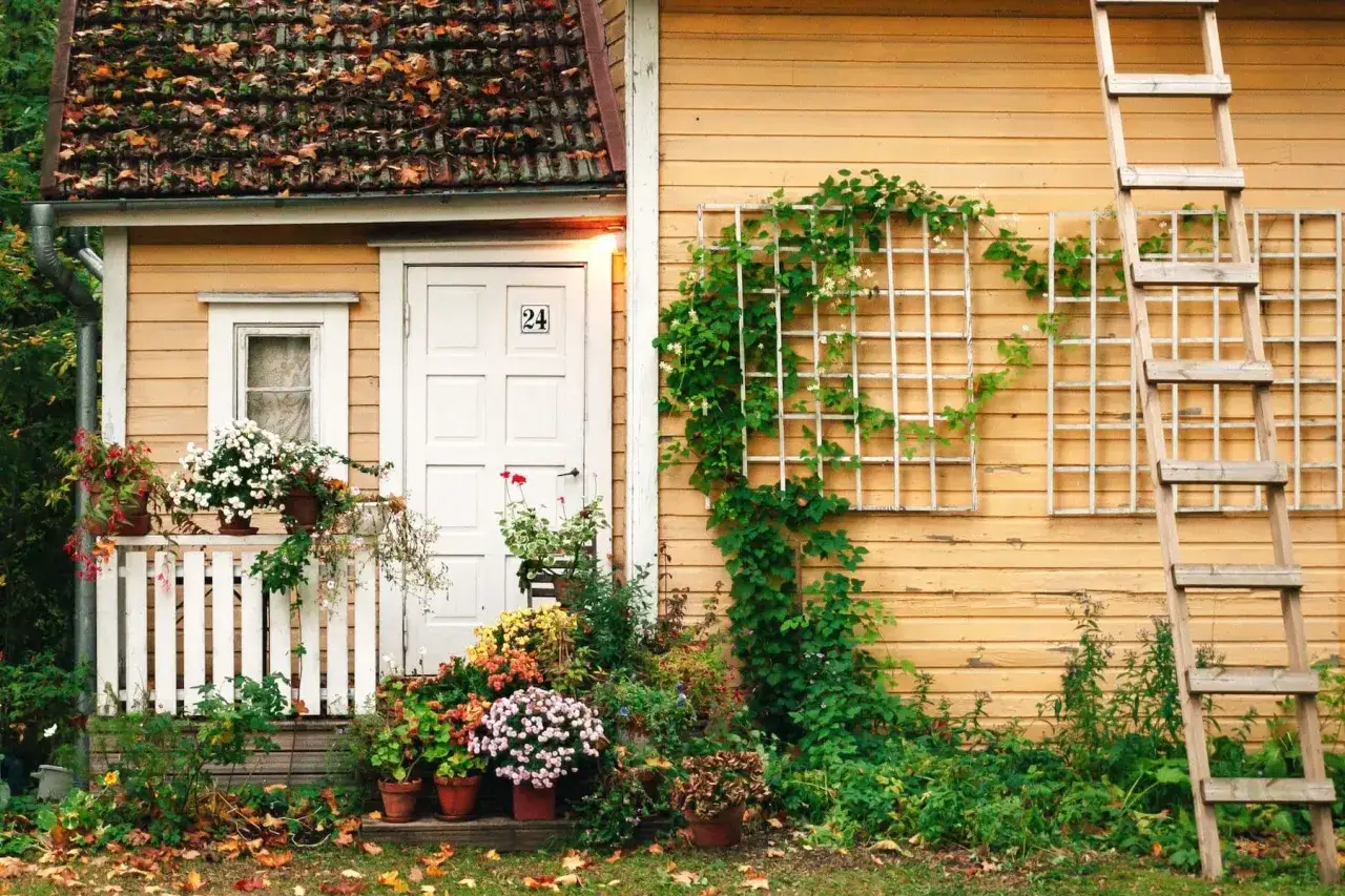 Gula gamla huset med en vit dörr, blommor och en stege. Taket är täckt av höstlöv.