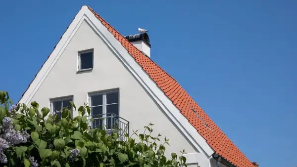 Vitt hus med tegeltak och en mås på skorstenen. En balkong syns, och syrenbuskar blommar framför. Huset ser ut att behöva laga puts.
